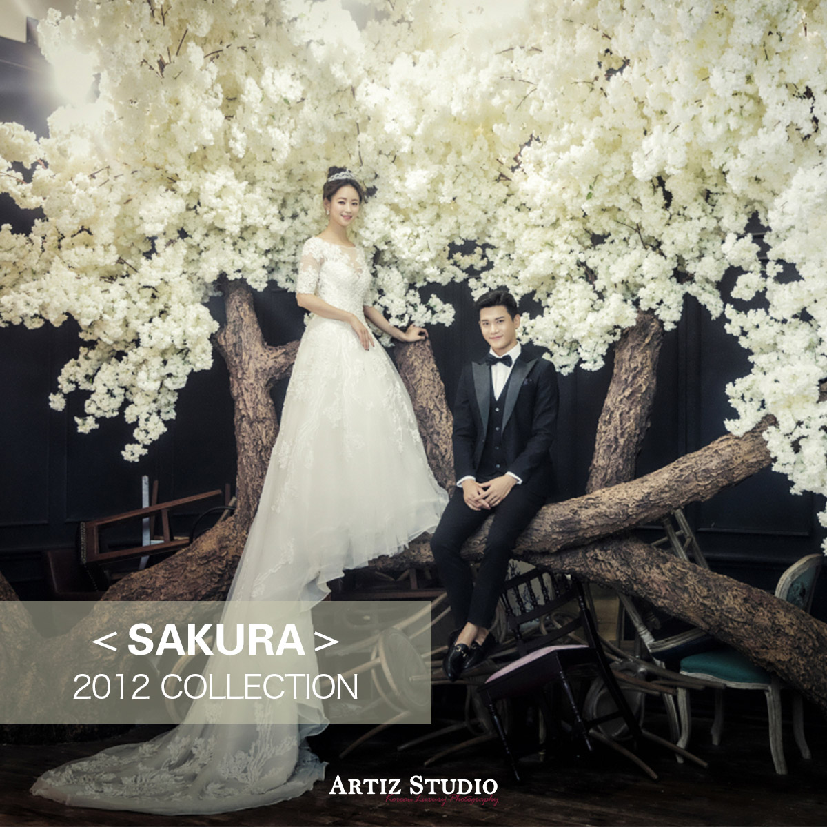 SAKURA 系列